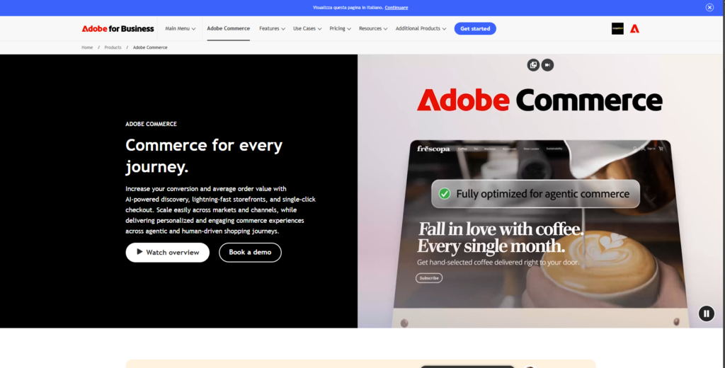 Magento (Adobe Commerce) interface