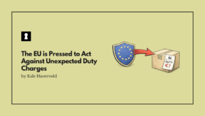 The EU is Pressed to Act Against Unexpected Duty Charges for Customers