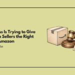 Congress Is Trying to Give Amazon Sellers the Right to Sue Amazon