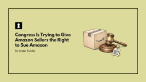 Congress Is Trying to Give Amazon Sellers the Right to Sue Amazon