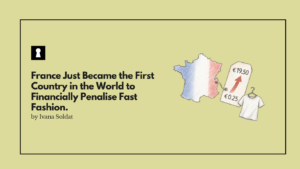 France Just Became the First Country in the World to Financially Penalise Fast Fashion. The Bill Starts at 25 Cents. It Rises to €19.50.