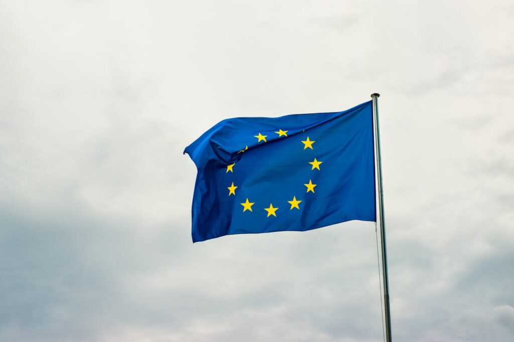 An image of the European flag