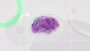 An image of the brain representing agentic AI