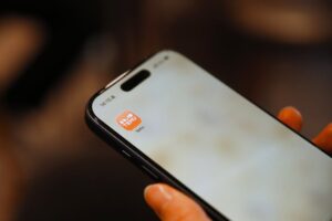 An image of the Temu app on a phone